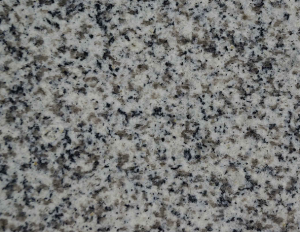 Granite G603/Sesame white granite